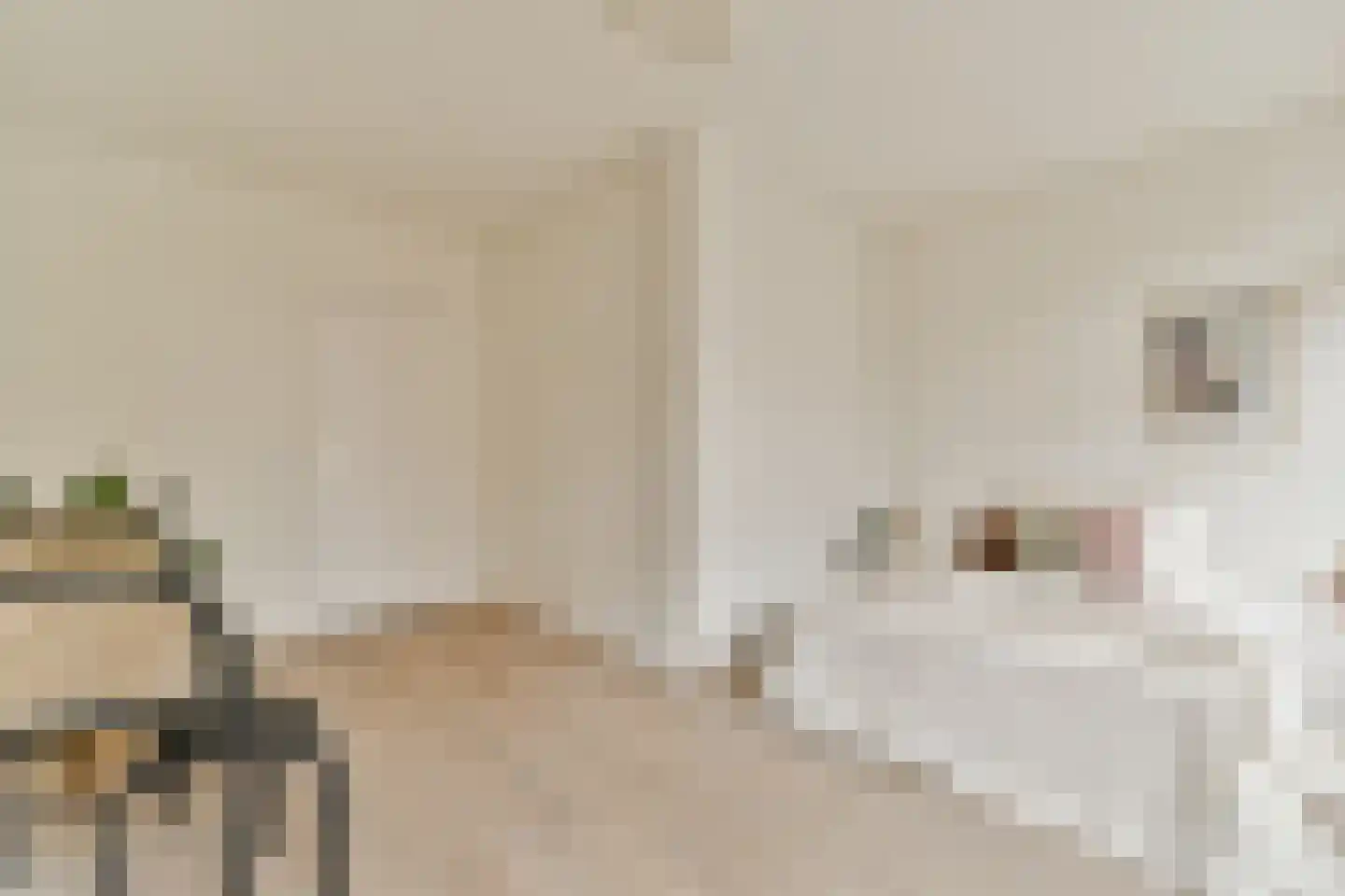 Groen van Prinstererstraat 26 H Amsterdam thumbnail 26