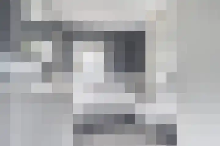 Groen van Prinstererstraat 27 Naaldwijk thumbnail 16