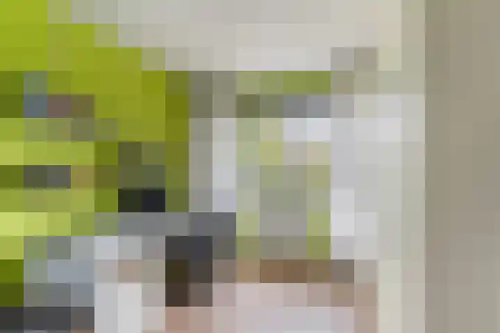 Groen van Prinstererstraat 27 Naaldwijk thumbnail 19