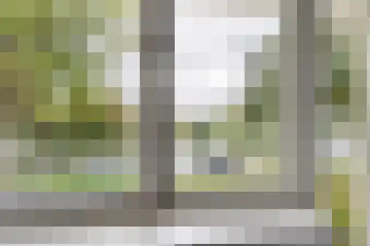 Groen van Prinstererstraat 27 Naaldwijk thumbnail 20