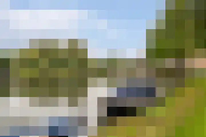 Groen van Prinstererstraat 27 Naaldwijk thumbnail 30