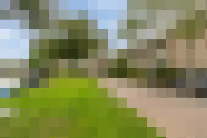 Groen van Prinstererstraat 27 Naaldwijk thumbnail 31