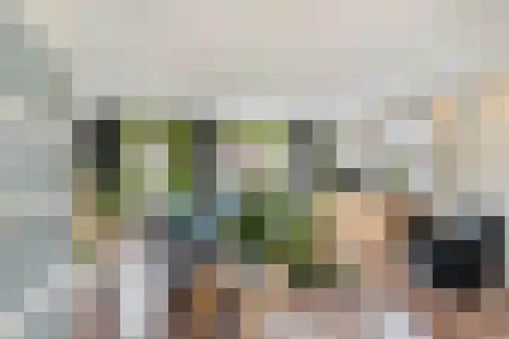 Groen van Prinstererstraat 27 Naaldwijk thumbnail 4