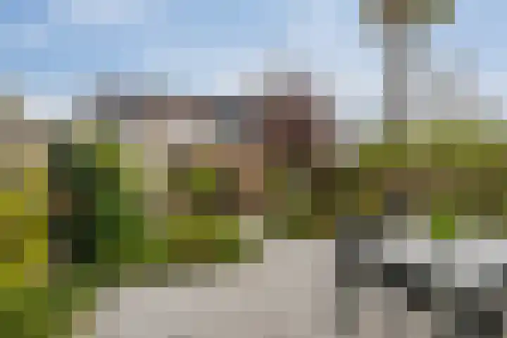 Groen van Prinstererstraat 27 Naaldwijk thumbnail 9