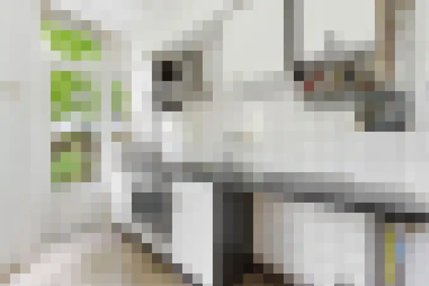 Groen van Prinstererstraat 28 A Rotterdam thumbnail 13
