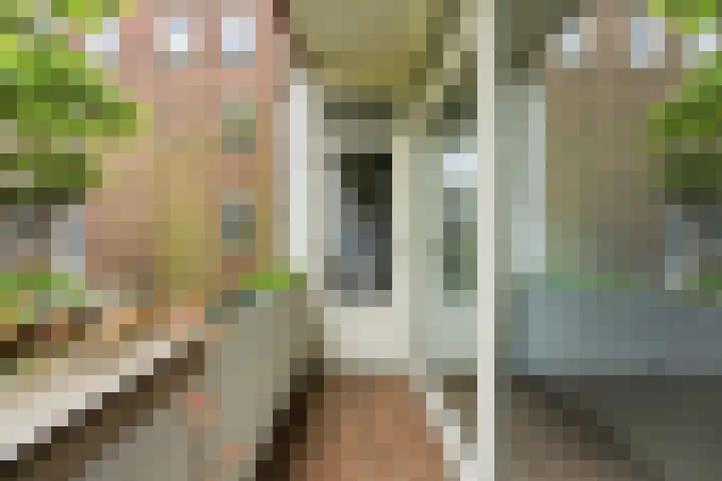Groen van Prinstererstraat 28 A Rotterdam thumbnail 17
