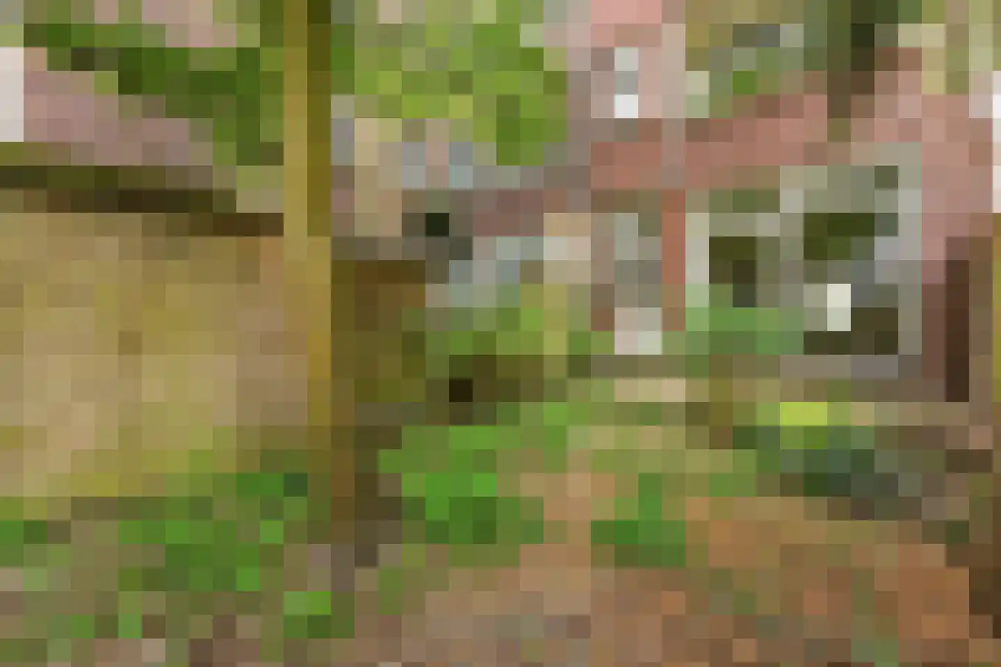 Groen van Prinstererstraat 28 A Rotterdam thumbnail 20