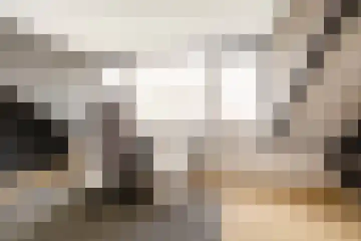 Groen van Prinstererstraat 28 Veenendaal thumbnail 24
