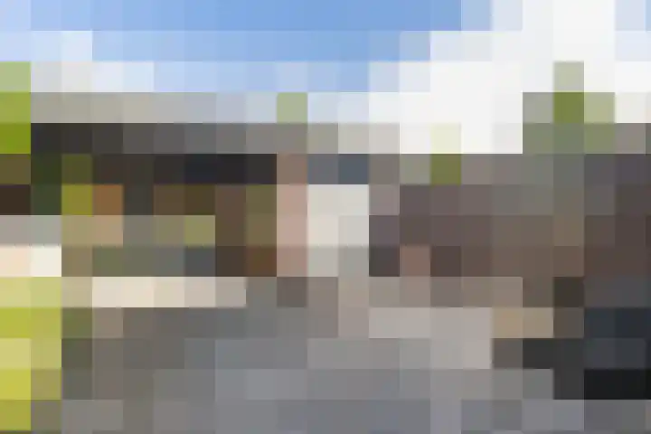 Groen van Prinstererstraat 28 Veenendaal thumbnail 26