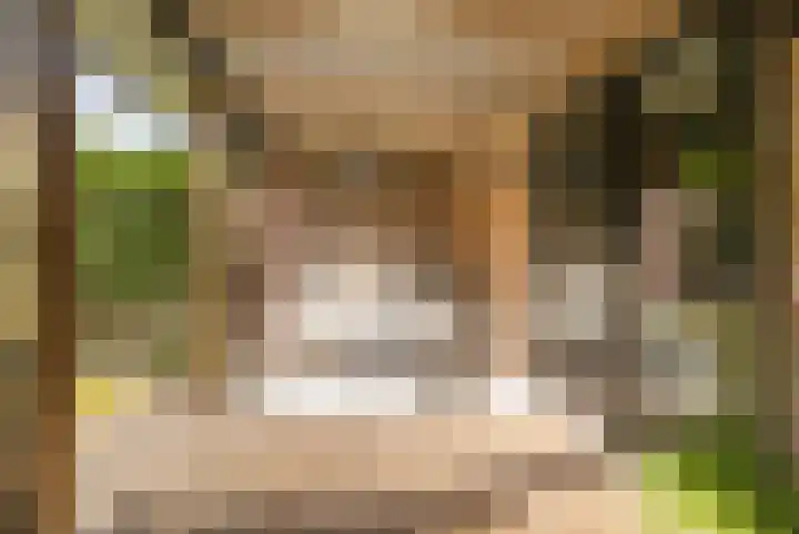Groen van Prinstererstraat 28 Veenendaal thumbnail 31