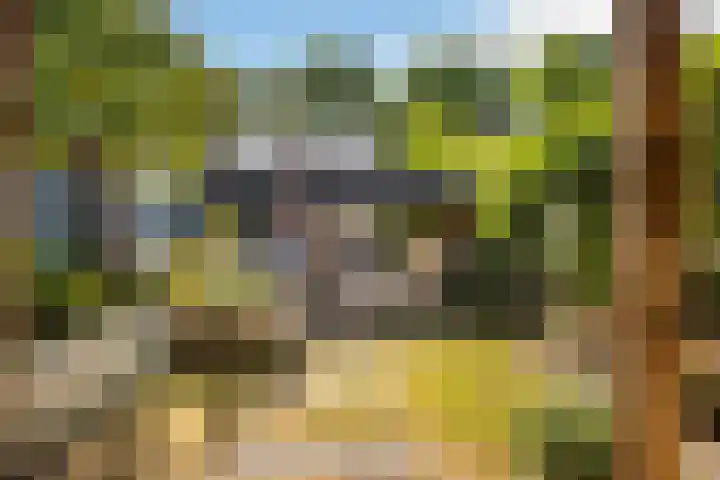 Groen van Prinstererstraat 28 Veenendaal thumbnail 32