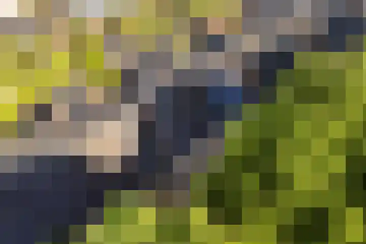 Groen van Prinstererstraat 28 Veenendaal thumbnail 35