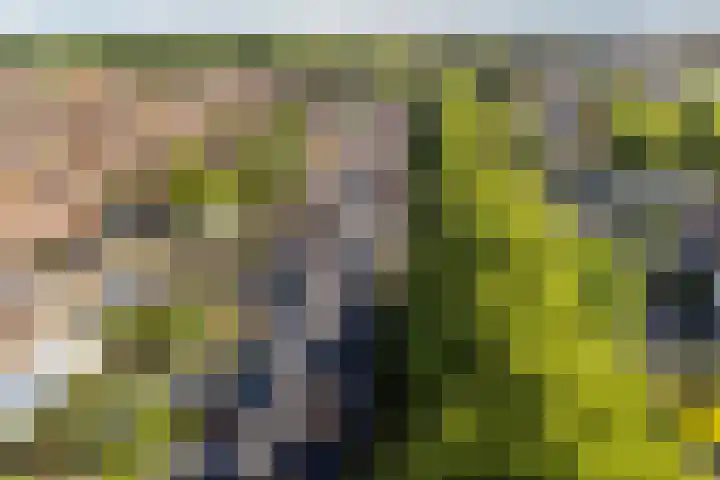 Groen van Prinstererstraat 28 Veenendaal thumbnail 36