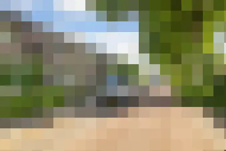 Groen van Prinstererstraat 28 Veenendaal thumbnail 37