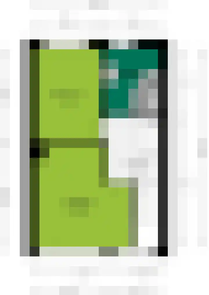 Groen van Prinstererstraat 28 Veenendaal thumbnail 42