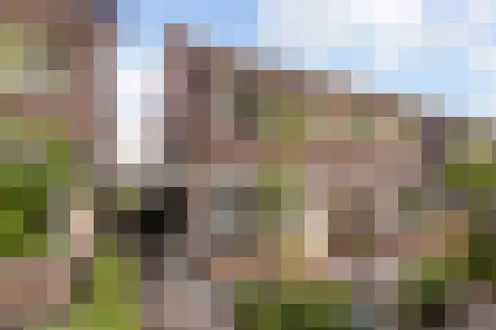 Groen van Prinstererstraat 28 Veenendaal thumbnail 51