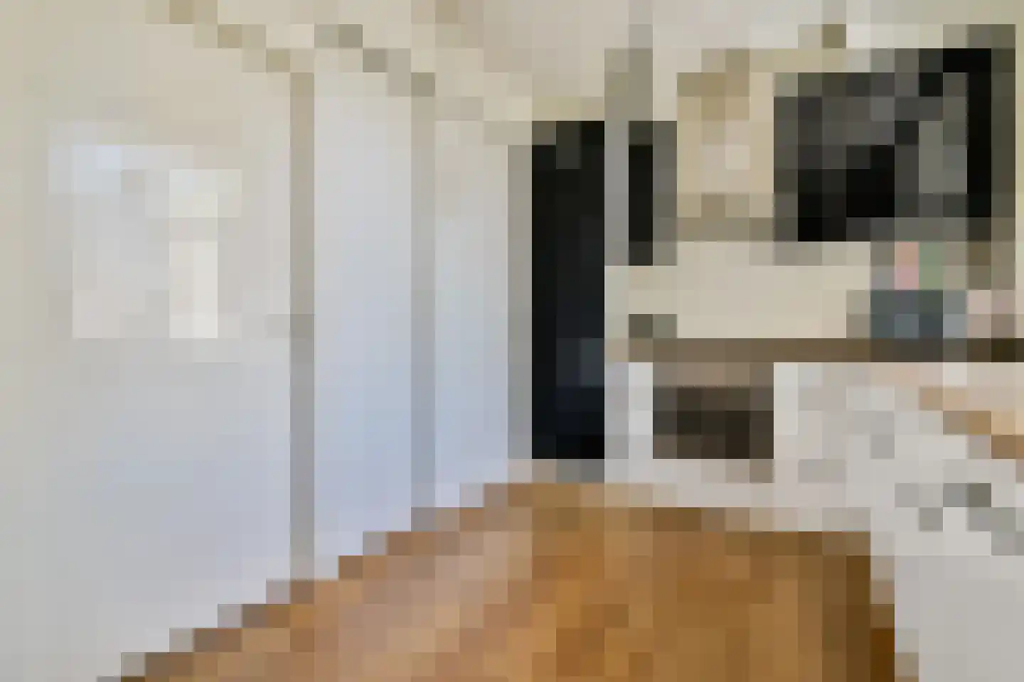 Groen van Prinstererstraat 3 2 Amsterdam thumbnail 10