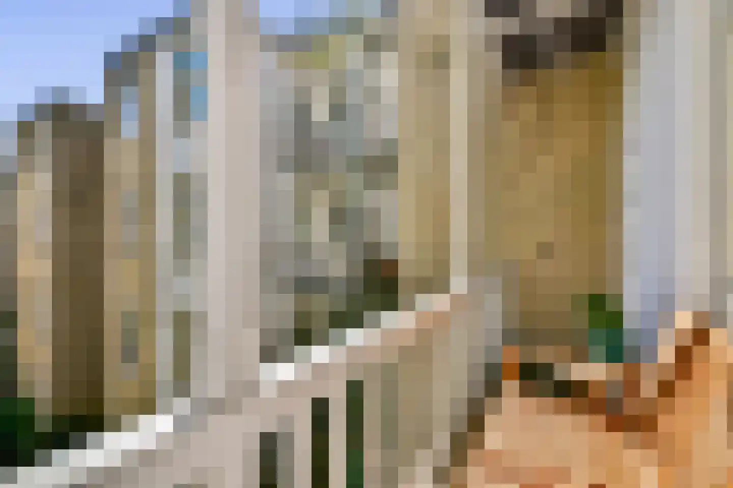 Groen van Prinstererstraat 3 2 Amsterdam thumbnail 13
