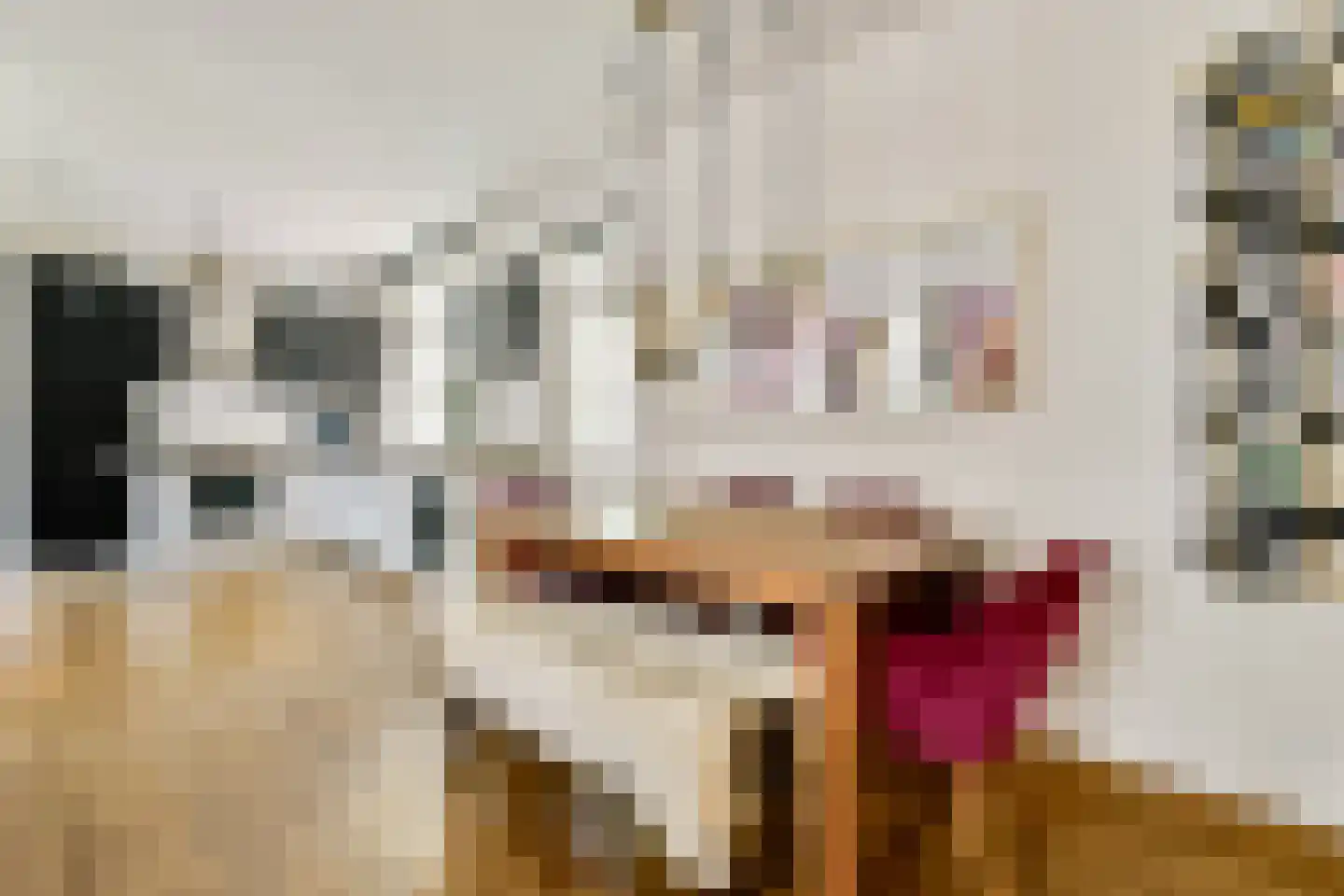 Groen van Prinstererstraat 3 2 Amsterdam thumbnail 7