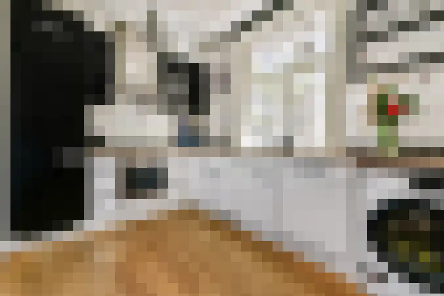 Groen van Prinstererstraat 3 2 Amsterdam thumbnail 8