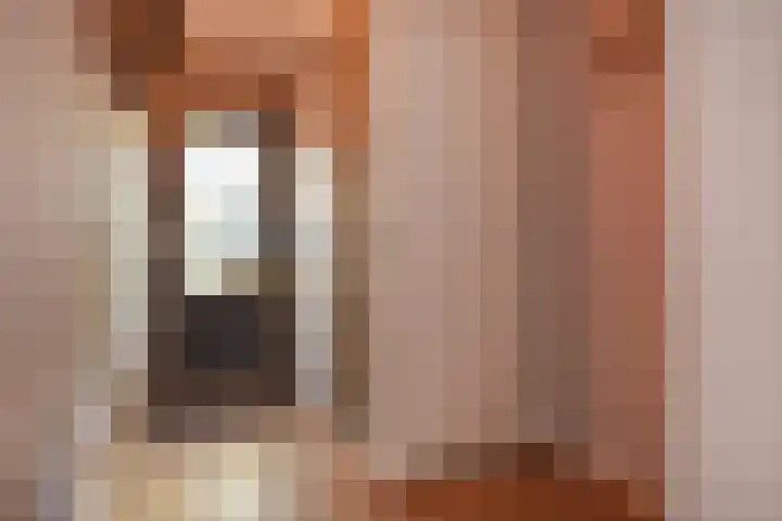 Groen van Prinstererstraat 3 Naaldwijk thumbnail 13