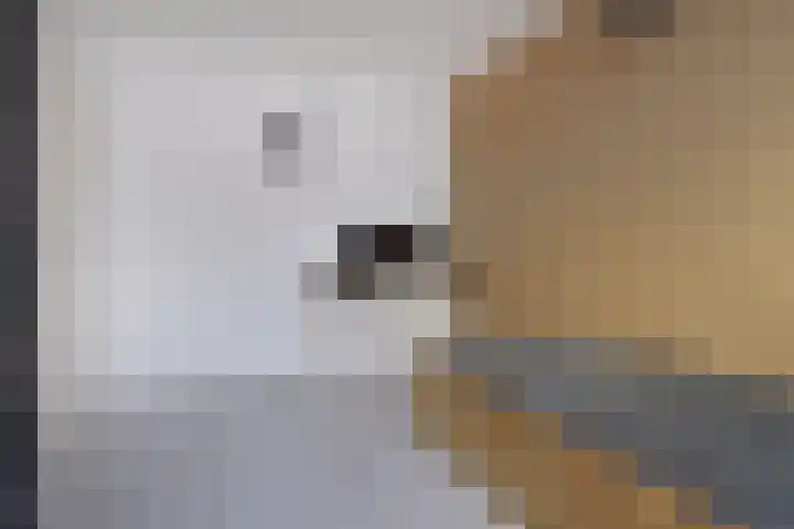 Groen van Prinstererstraat 3 Naaldwijk thumbnail 23