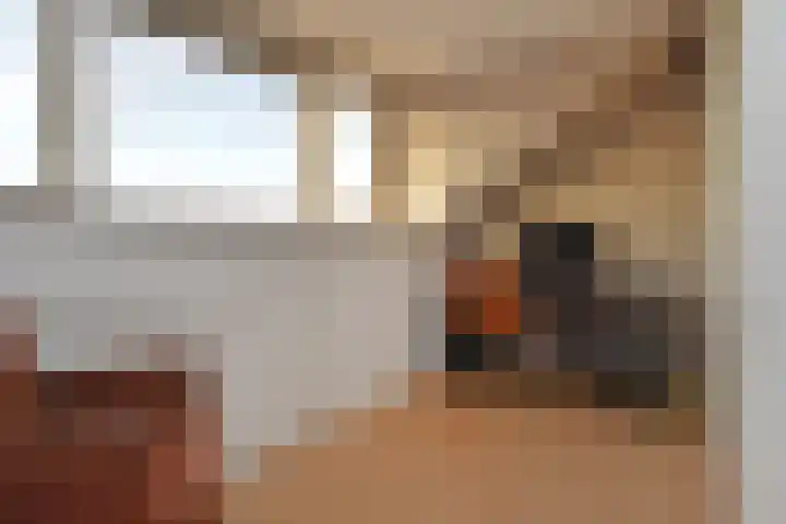 Groen van Prinstererstraat 3 Naaldwijk thumbnail 28
