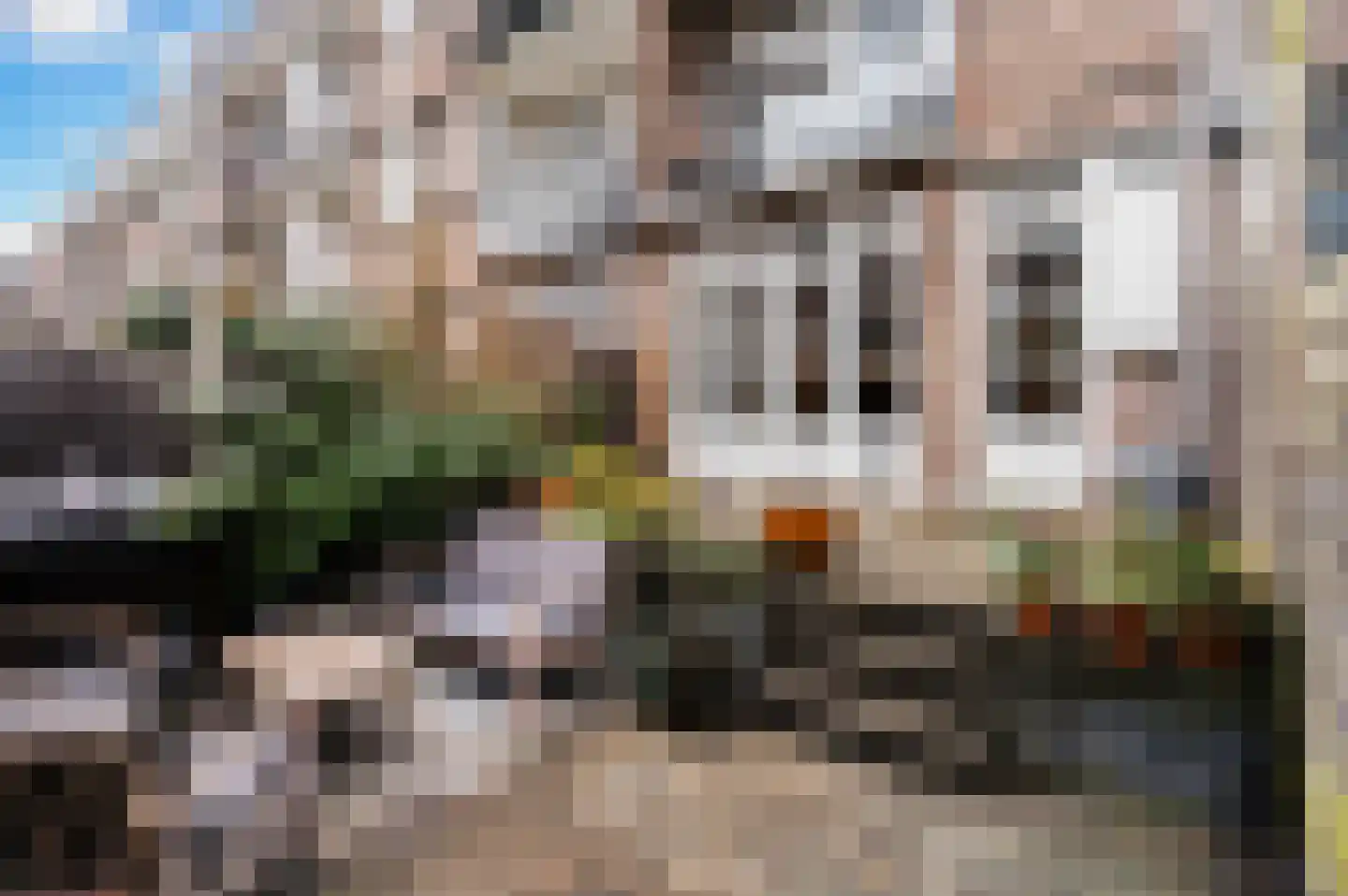 Groen van Prinstererstraat 31 A Rotterdam thumbnail 19