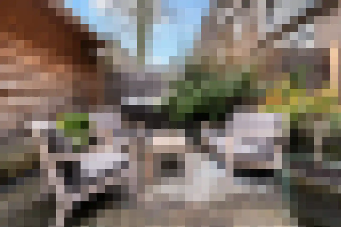 Groen van Prinstererstraat 31 A Rotterdam thumbnail 21