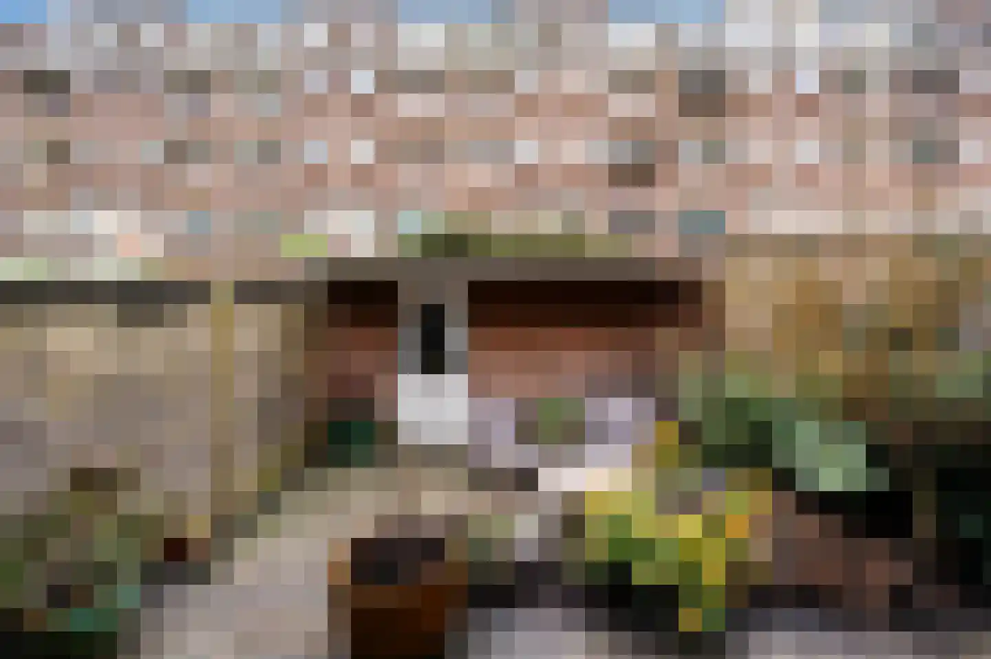 Groen van Prinstererstraat 31 A Rotterdam thumbnail 22