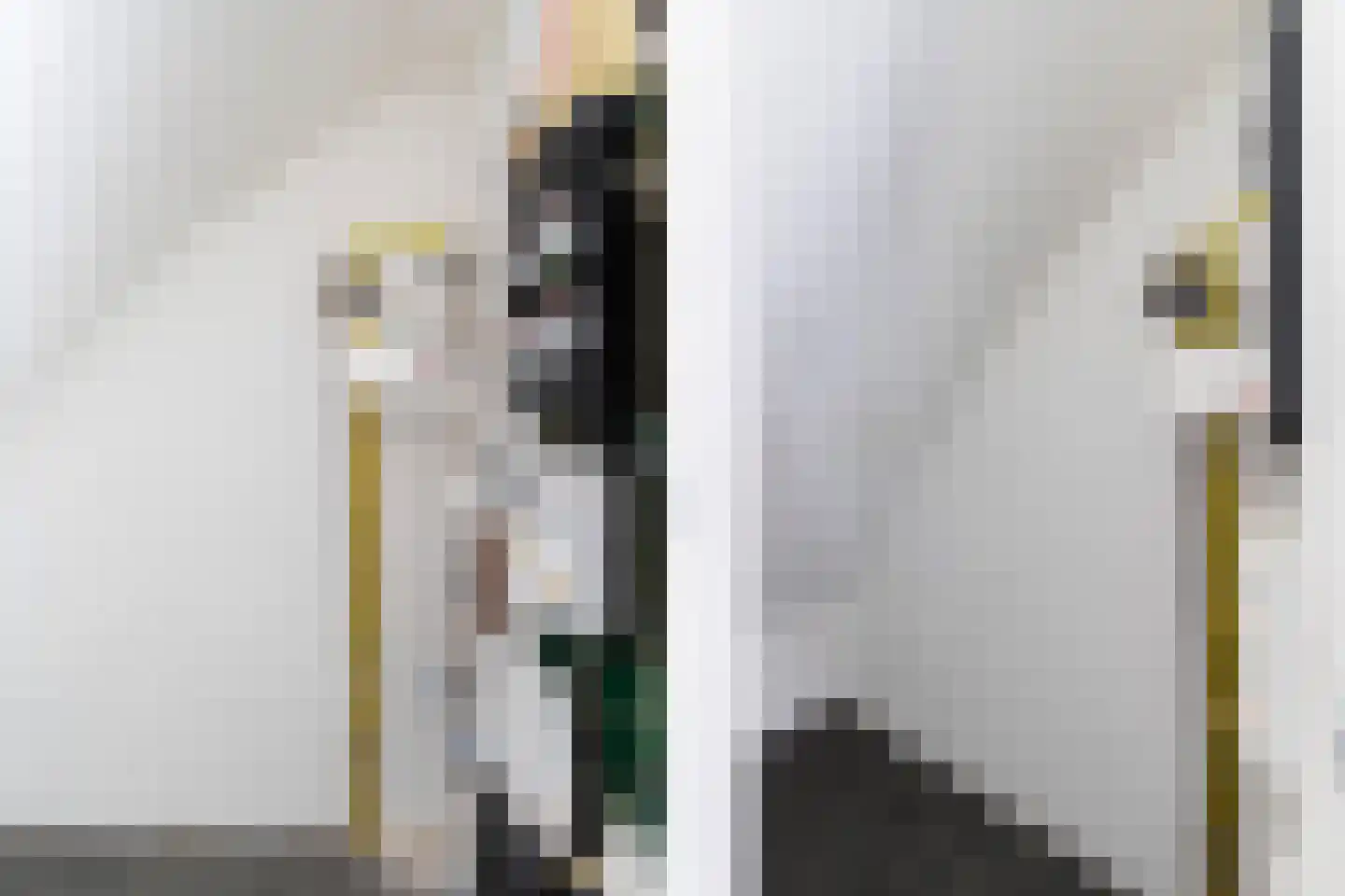 Groen van Prinstererstraat 31 A Rotterdam thumbnail 32