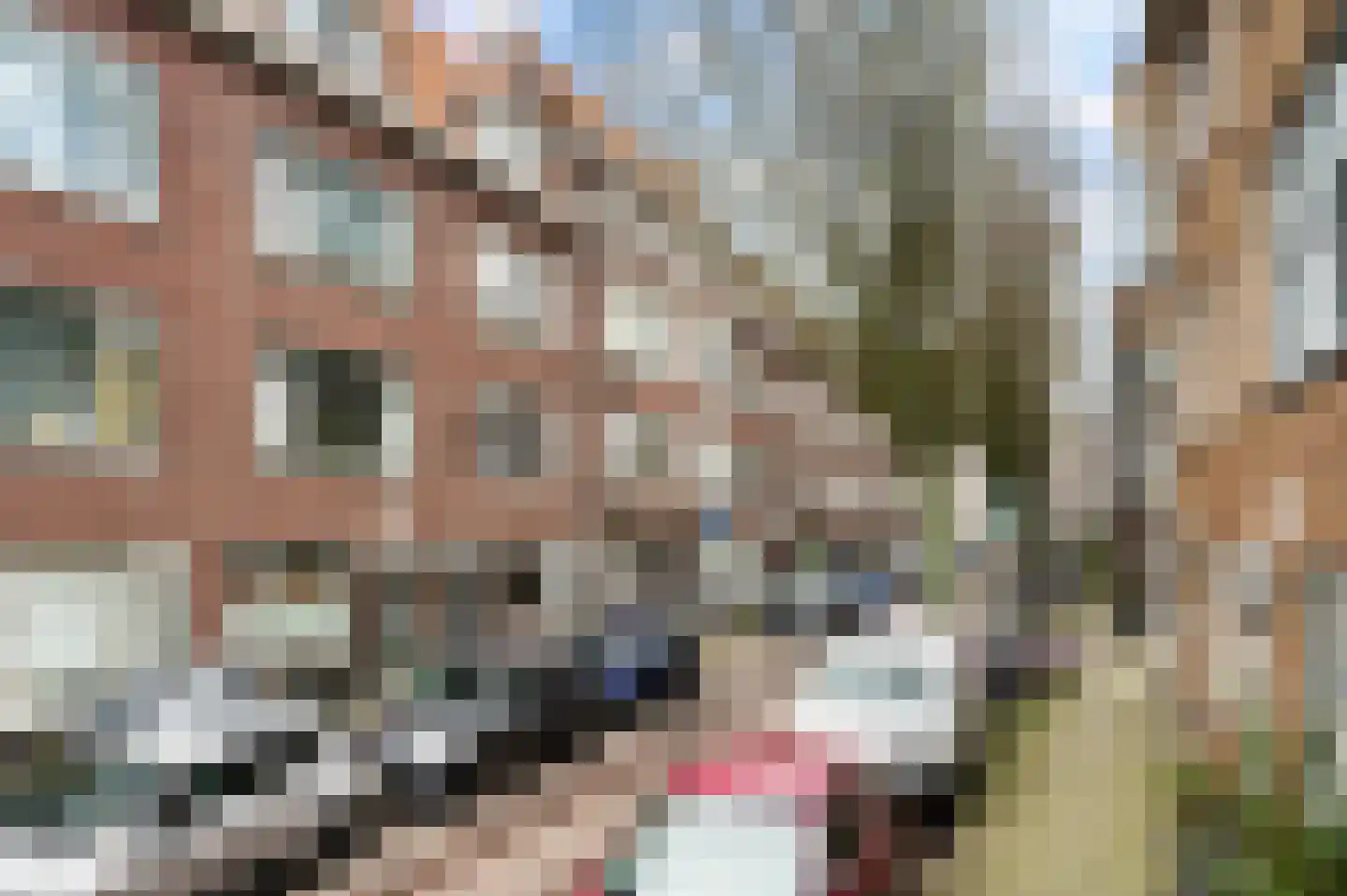 Groen van Prinstererstraat 31 A Rotterdam thumbnail 37