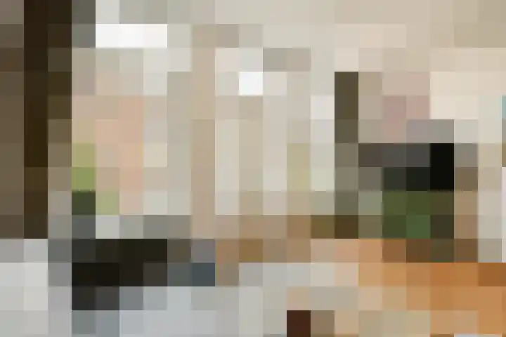 Groen van Prinstererstraat 33 2 Amsterdam thumbnail 5