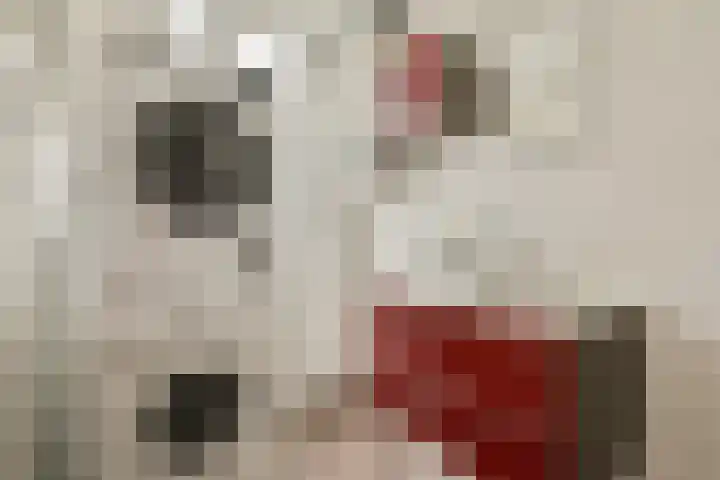 Groen van Prinstererstraat 33 2 Amsterdam thumbnail 9