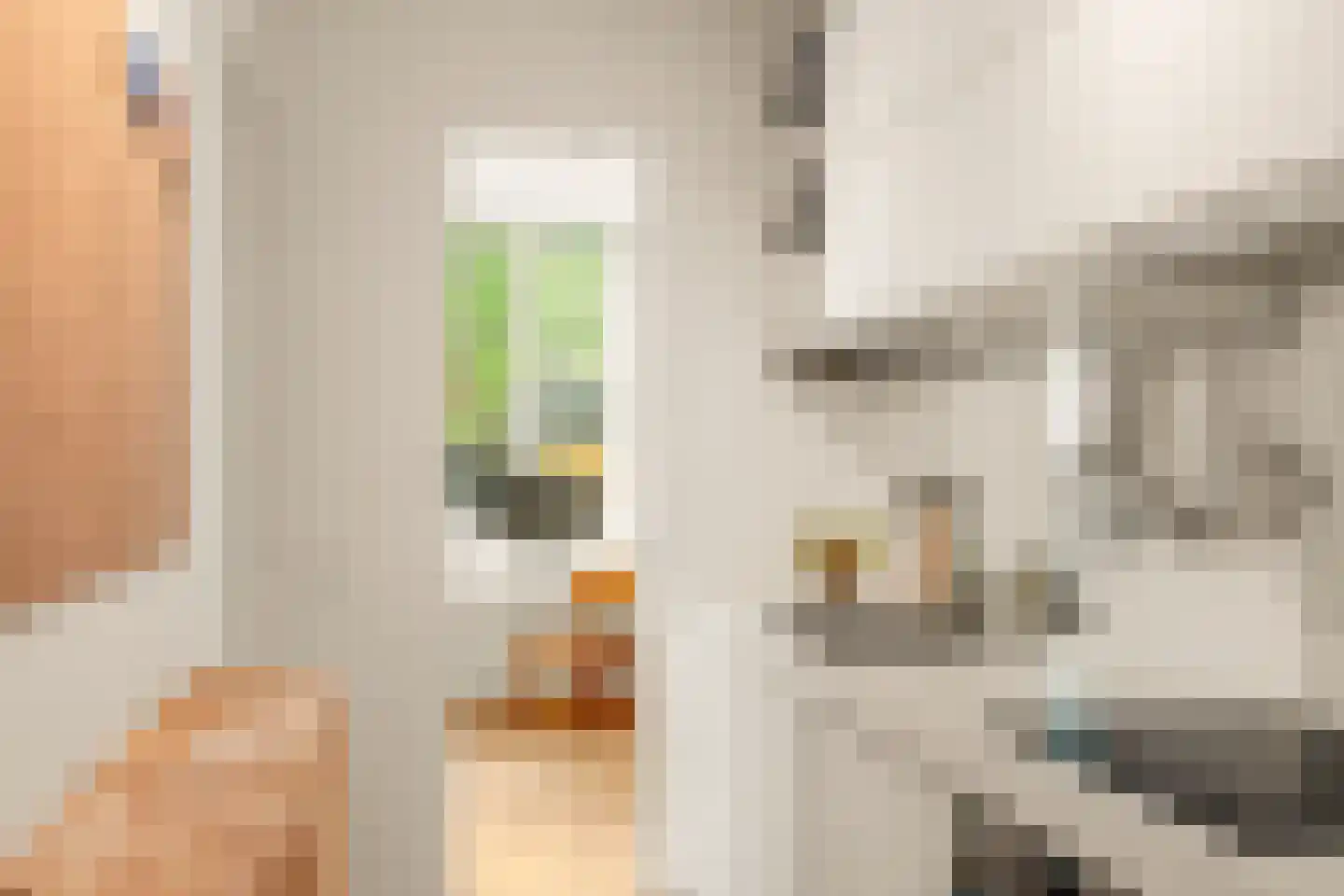 Groen van Prinstererstraat 33 H Amsterdam thumbnail 11