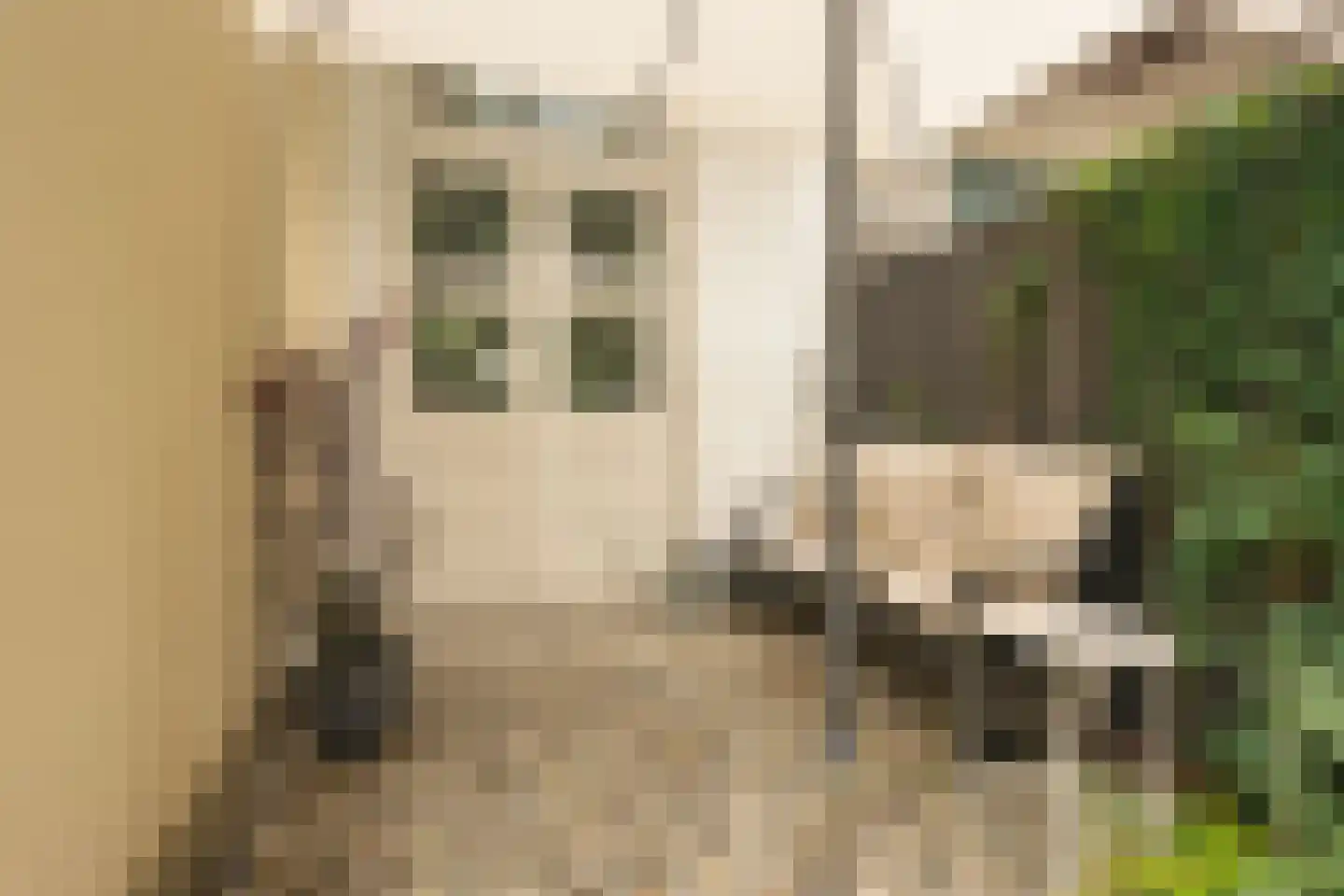 Groen van Prinstererstraat 33 H Amsterdam thumbnail 22
