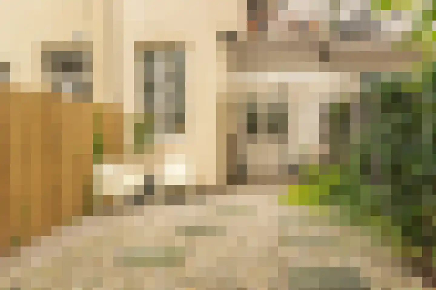 Groen van Prinstererstraat 33 H Amsterdam thumbnail 24
