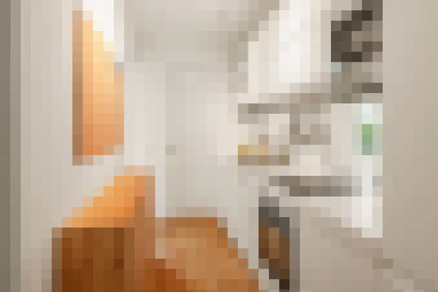 Groen van Prinstererstraat 33 H Amsterdam thumbnail 4