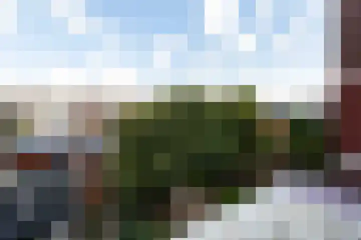 Groen van Prinstererstraat 33 Vlaardingen thumbnail 20