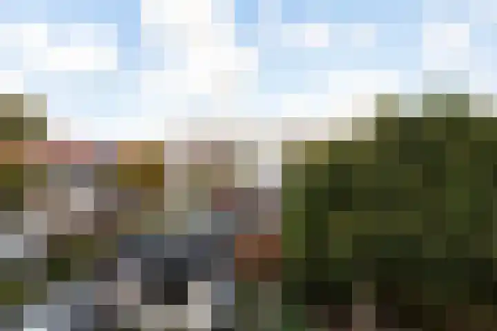 Groen van Prinstererstraat 33 Vlaardingen thumbnail 21