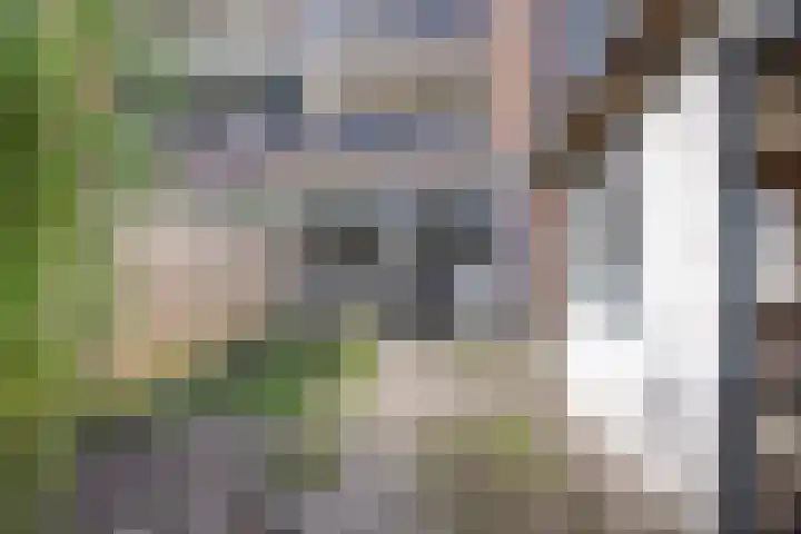 Groen van Prinstererstraat 35 Vlaardingen thumbnail 16