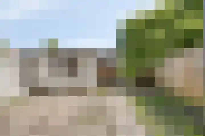 Groen van Prinstererstraat 35 Vlaardingen thumbnail 17