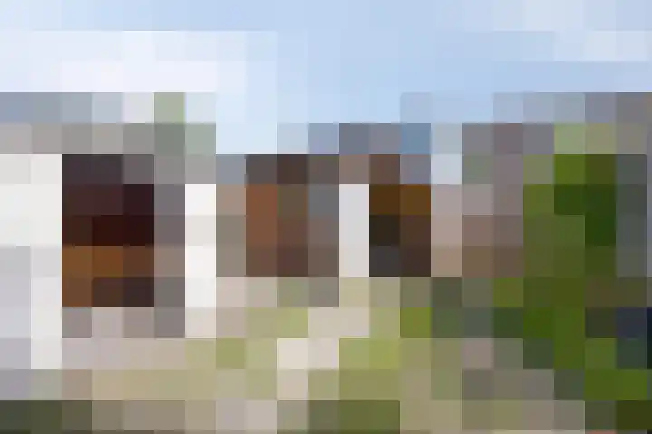Groen van Prinstererstraat 35 Vlaardingen thumbnail 18