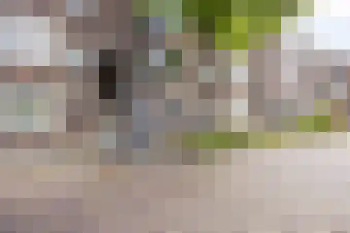 Groen van Prinstererstraat 35 Vlaardingen thumbnail 21