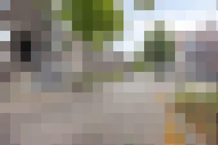 Groen van Prinstererstraat 35 Vlaardingen thumbnail 5