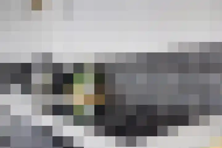 Groen van Prinstererstraat 36 B 02 Rotterdam thumbnail 12