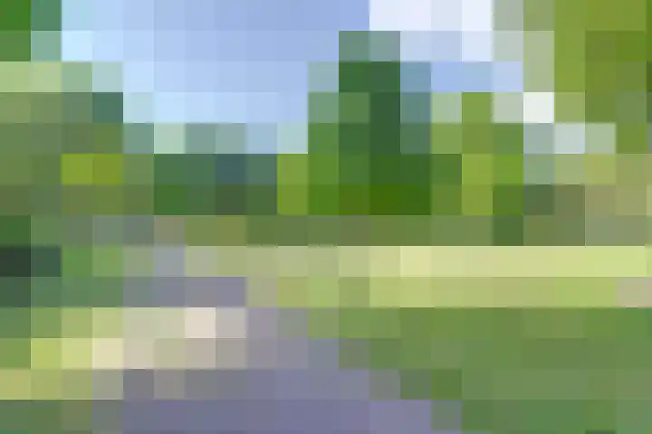 Groen van Prinstererstraat 36 B 02 Rotterdam thumbnail 20