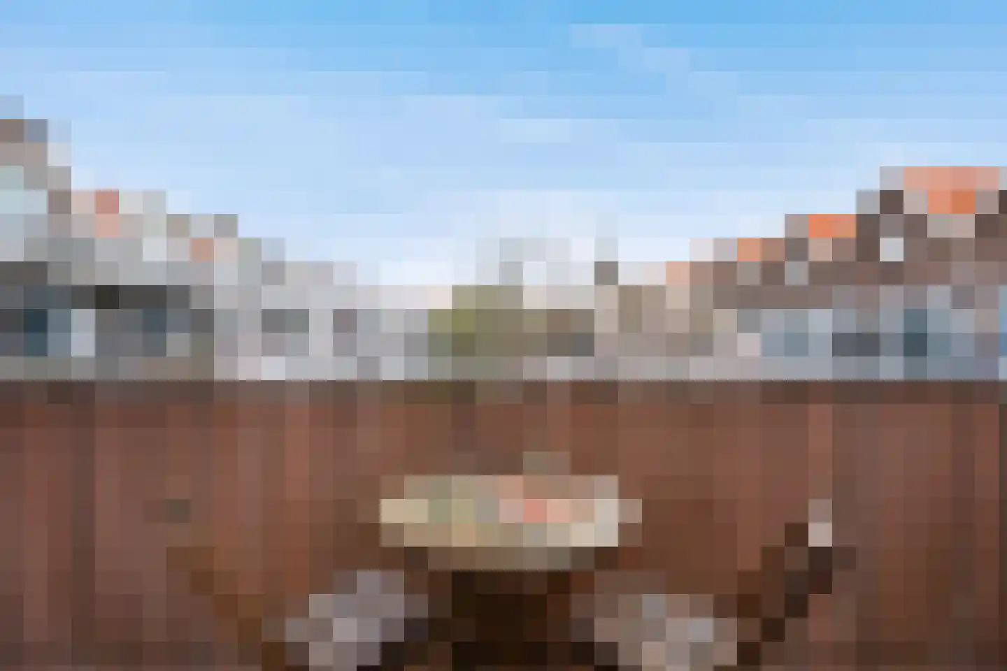 Groen van Prinstererstraat 38 B Rotterdam thumbnail 13