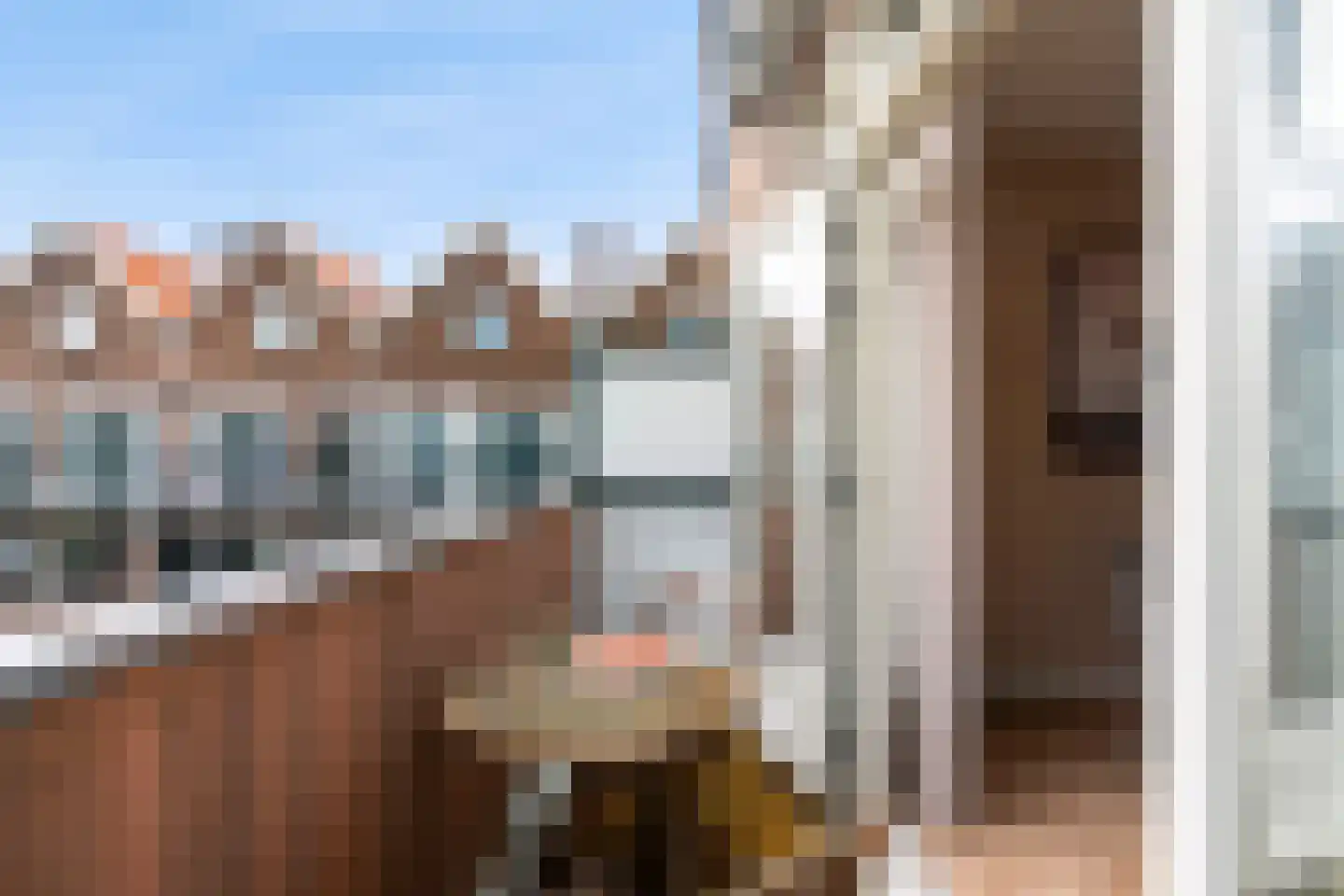 Groen van Prinstererstraat 38 B Rotterdam thumbnail 14