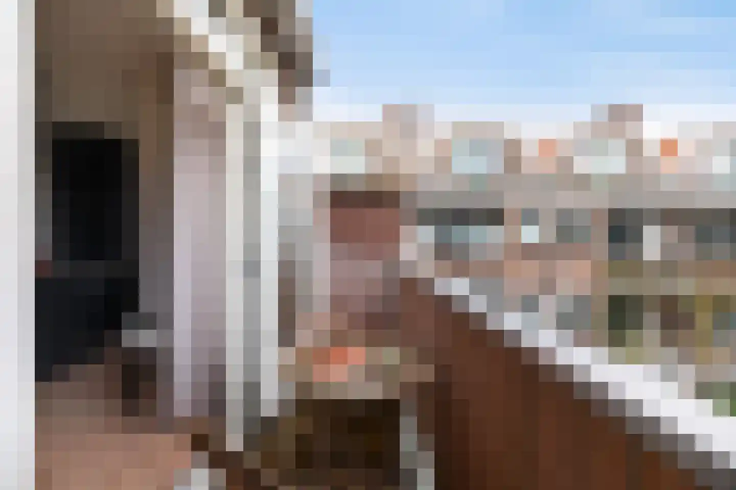 Groen van Prinstererstraat 38 B Rotterdam thumbnail 15